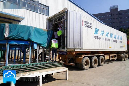 云南铁路助力 6 18 电商节云花畅销 今年累计发运冷链鲜花1800多吨