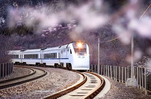 完爆日本樱花,国内最美春天上线,错过再等一年