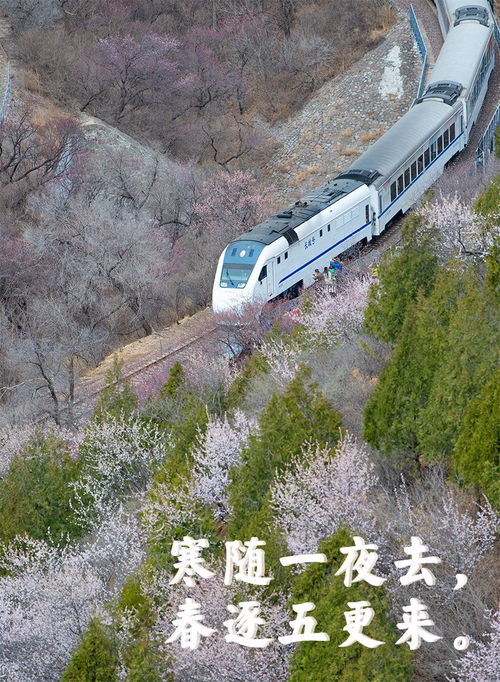 登上列车 驶入春天