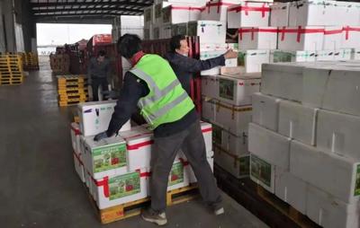 他从北京奔赴武汉抗疫“主战场”战疫至今…