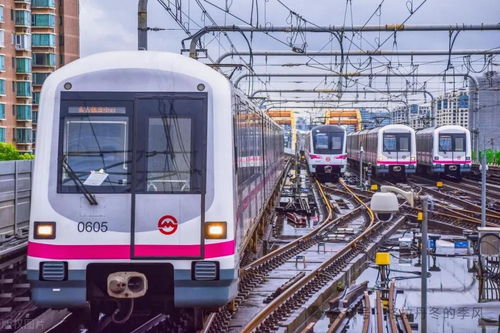 地铁里挤满人,为何还亏损——以北京铁路快运为例